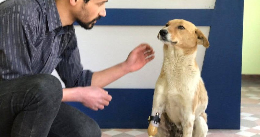 Diagnostic and treatment equipment at Animal Medical Centre